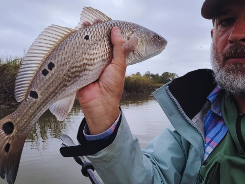 spinnaker-resorts-hilton-head-fishing-red-fish